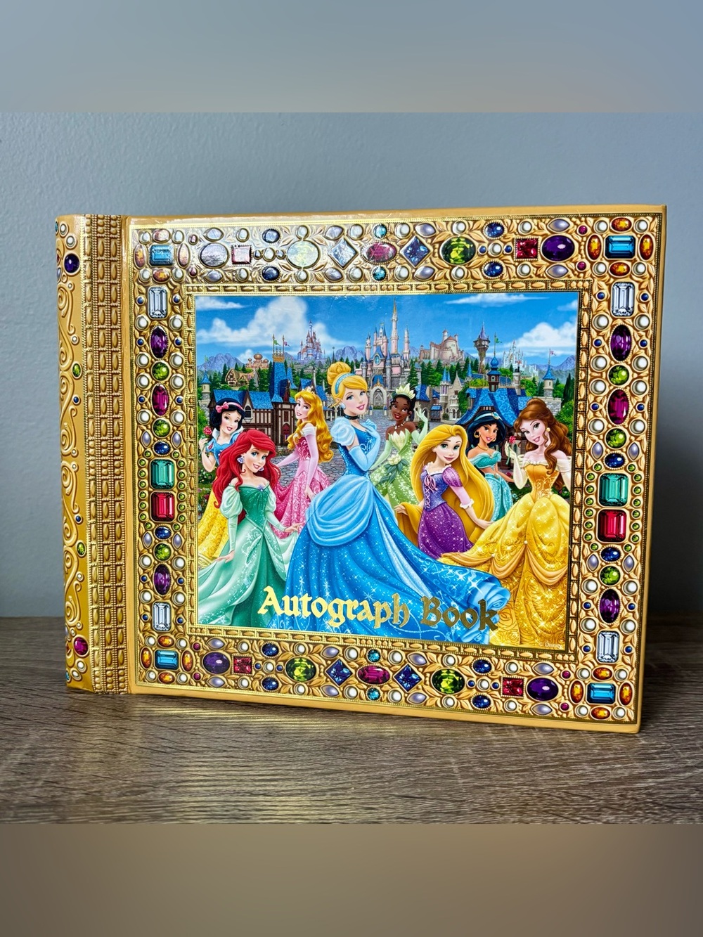 Disney World Parks princess autograph & keepsake & photo album book